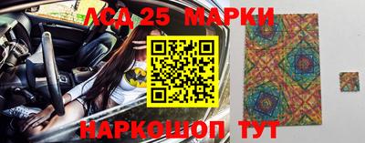 индика Славгород