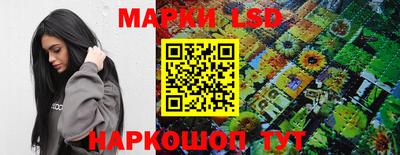 индика Славгород