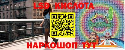 индика Славгород