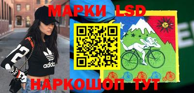 индика Славгород