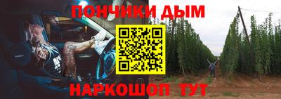 индика Славгород